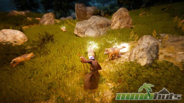 black-desert-online-combat