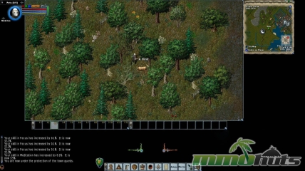 Ultima-Online-a-hind