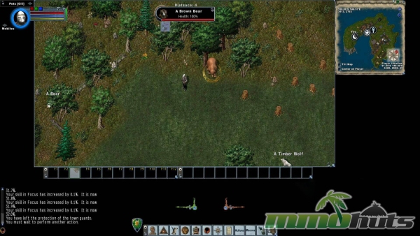 Ultima-Online-brown-bear