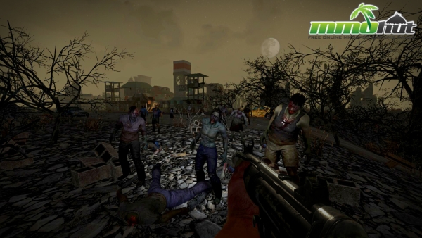 7 Days To Die_Night Zombies