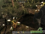 7-days-to-die-cotton