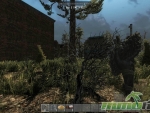 7-days-to-die-pine-tree