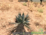 7-days-to-die-plant
