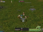 9Dragons-mobs