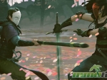 absolver-combat-style