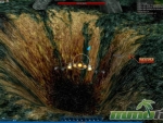 Ace-Online-Entrance
