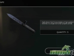 afterpulse-ballistic-knife