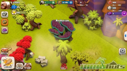 age-of-cavemen-anthurium