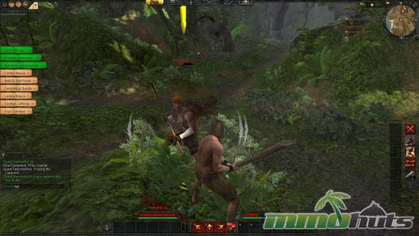 Age-of-Conan-arc-shield