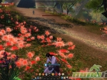 age-of-wushu-flowers