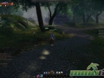 age-of-wushu-forest