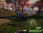 age-of-wushu-maple-tree-forest