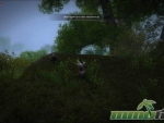age-of-wushu-mound