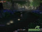 age-of-wushu-road