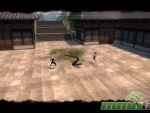 age-of-wushu-snake-attack