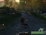 age-of-wushu-wild-dog