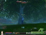 aion-tree