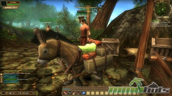 alganon-ass