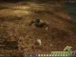 alganon-lt.dan_