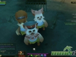 allods-online-race
