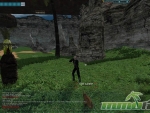 Anarchy-Online-9-Dmg