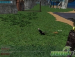Anarchy-Online-Attacking