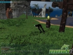 Anarchy-Online-Lvl-3