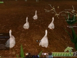 ArcheAge-geese