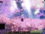 Archlord-2-Cherryblossoms
