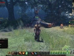 Archlord2-Gameplay