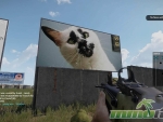 argo-cat