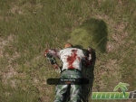 argo-killed