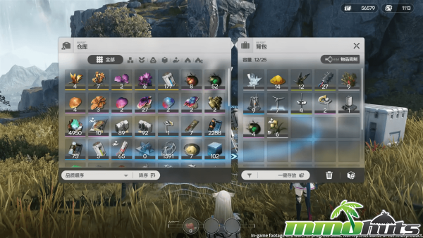 ark-knights-endfield-game-inventory