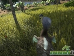 Ark-Survival-Evolved-dodo
