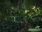 Ark-Survival-Evolved-ferns