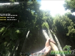 Ark-Survival-Evolved-jungle