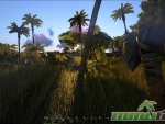 Ark-Survival-Evolved-roaming