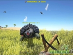 Ark-Survival-Evolved-stone-throwing