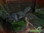 Ark-Survival-Evolved-tamed-dinosaur