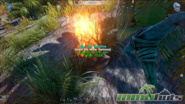 ark-survival-of-the-fittest-campfire-fire