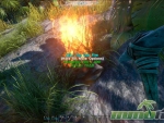 ark-survival-of-the-fittest-campfire-fire