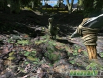 ark-survival-of-the-fittest-dodo