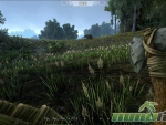 ark-survival-of-the-fittest-raining