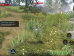 axe-alliance-vs-empire-questing