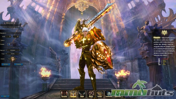 battle-of-the-immortals-character-creation-champion