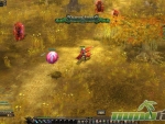 battle-of-the-immortals-dwarves-forest