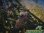 black-desert-mobile-mounts