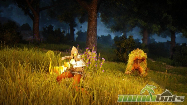 black-desert-online-cash-shop