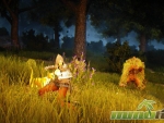 black-desert-online-cash-shop