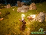 black-desert-online-combat